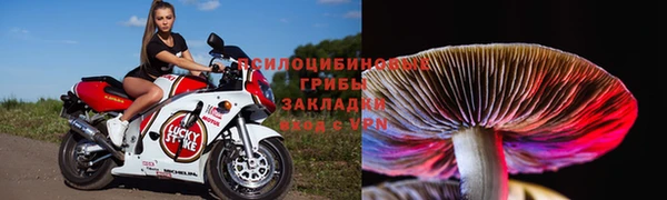 бутират Алексеевка